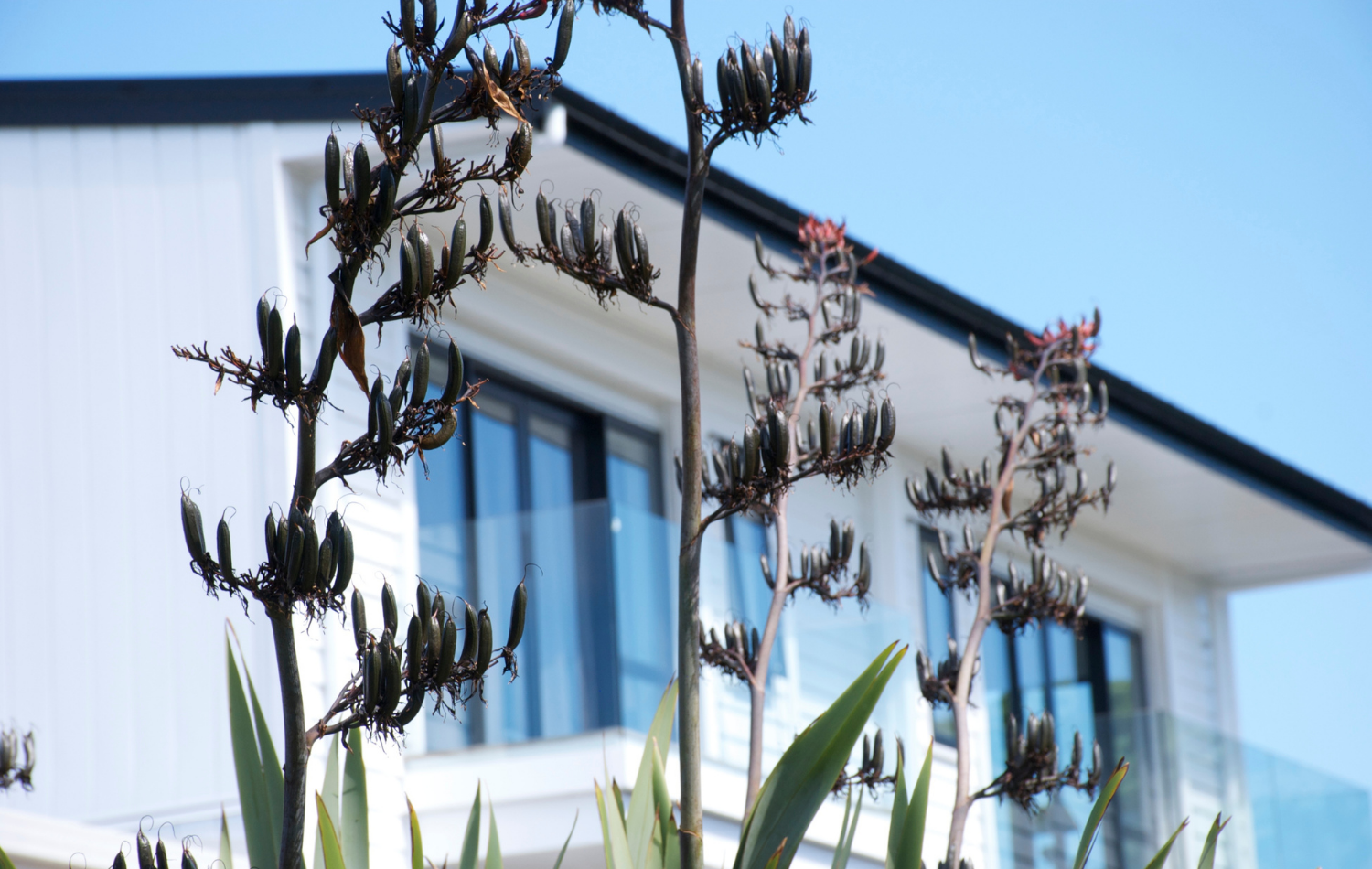 Call to action image